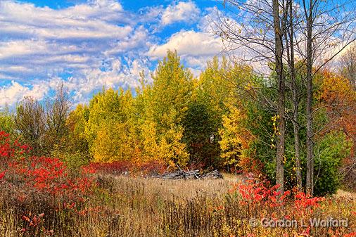 Autumn Landscape_17721.jpg - Photographed near Maberly, Ontario, Canada.